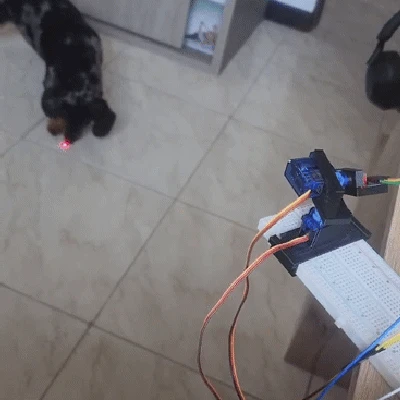 Đồ chơi laser cho mèo & chó