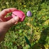 Cối Xay Gió Hoa Tulip - In Dễ Dàng - Thumbnail 2