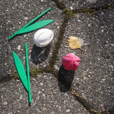 Cối Xay Gió Hoa Tulip - In Dễ Dàng