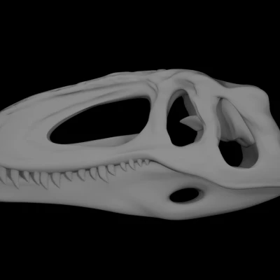 Hộp sọ Giganotosaurus (Làm lại)