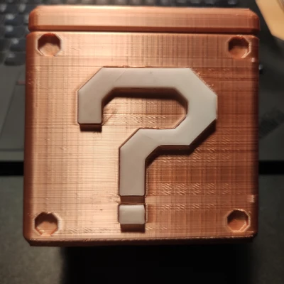 Heo đất "Hộp bí ẩn" Mario