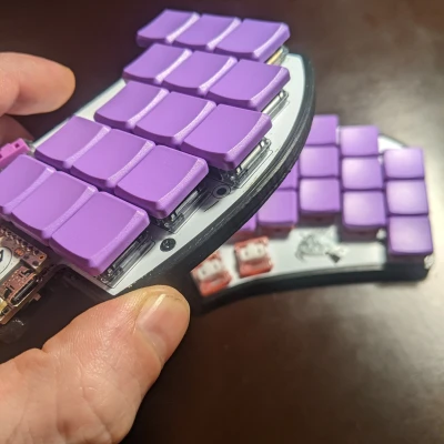 Hộp Ferris Sweep Bling LP Đơn Giản