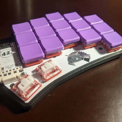 Hộp Ferris Sweep Bling LP Đơn Giản