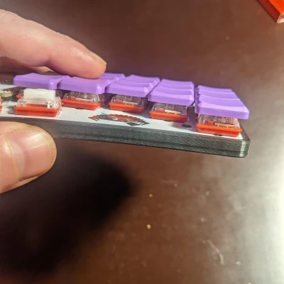 Hộp Ferris Sweep Bling LP Đơn Giản