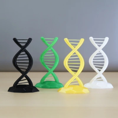 DNA Xoắn Kép - Thử Thách Cầu Nối