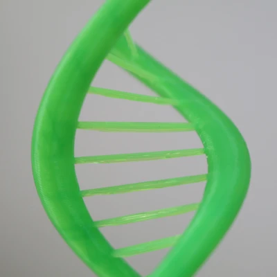 DNA Xoắn Kép - Thử Thách Cầu Nối