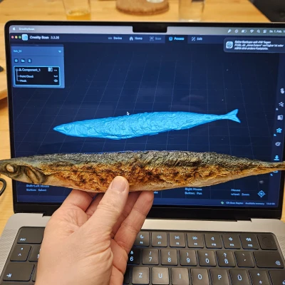 Cá CORE One (Với Chất Liệu Màu)