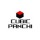 CubicPanchi_2808949