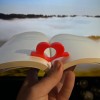 Kẹp giữ trang sách hình trái tim ergonomic (đọc một tay) - Thumbnail 4