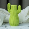 Bình Hoa Xương Rồng (Cactus Vase) - Thumbnail 2