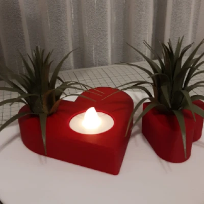 Trái tim Valentine kèm cây không khí (Air Plant)