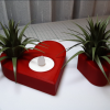 Trái tim Valentine kèm cây không khí (Air Plant) - Thumbnail 3