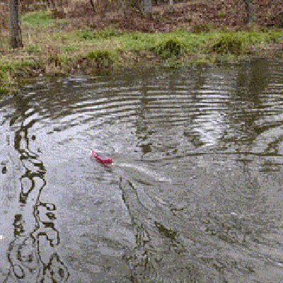 Thuyền RC Jet Nước Cạn (Shallow Water Rc Jet Boat)