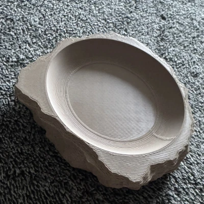 Chén đá cho bò sát