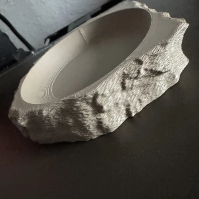 Chén đá cho bò sát