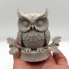 Cú mèo trên cành (Owl on Branch) - Thumbnail 1