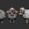 T Ocellus sheep - Thumbnail 2