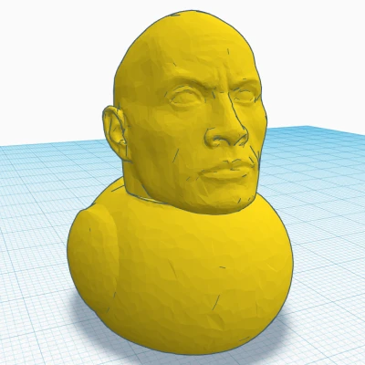 Duck Rock (Vịt The Rock)