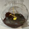 Bộ dụng cụ terrarium mini (có thể upscaling) - Thumbnail 4