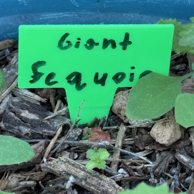 Nhãn cây đơn giản