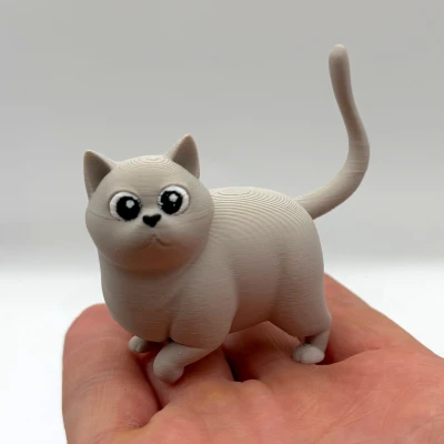 Woot Kitty – Mèo Chonky Dễ Thương