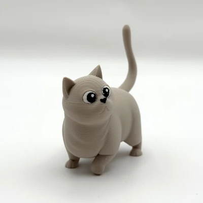 Woot Kitty – Mèo Chonky Dễ Thương