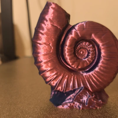 Ammonites (Hóa thạch ammonite)