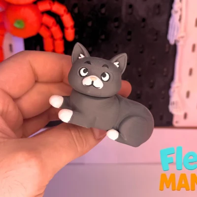 Mèo British Flexi | Mẫu Mèo Khớp Nối Dễ Thương