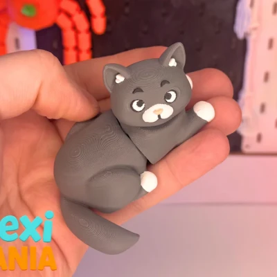 Mèo British Flexi | Mẫu Mèo Khớp Nối Dễ Thương