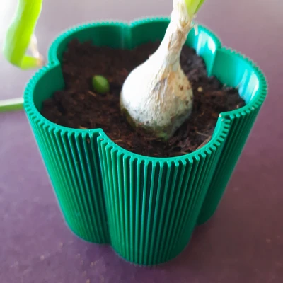 "Florio" - Chậu cây tự tưới, có thoát nước, không supports, parametric, nhiều size