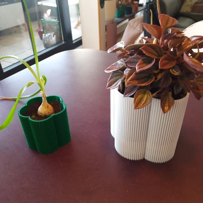 "Florio" - Chậu cây tự tưới, có thoát nước, không supports, parametric, nhiều size