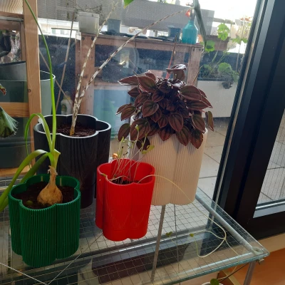 "Florio" - Chậu cây tự tưới, có thoát nước, không supports, parametric, nhiều size