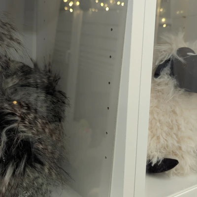 Ikea Billy Showcase – Biến kệ Billy thành tủ trưng bày