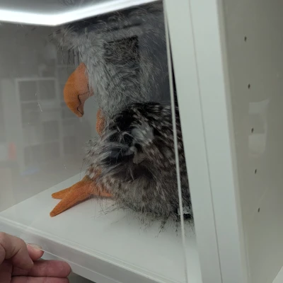 Ikea Billy Showcase – Biến kệ Billy thành tủ trưng bày