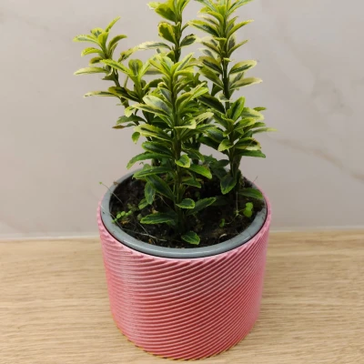 Chậu cây Planter