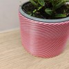 Chậu cây Planter - Thumbnail 2