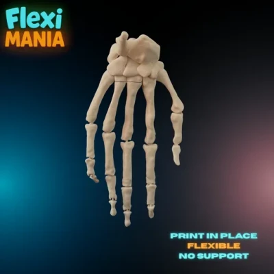 Bộ Xương Bàn Tay Người Flexi | Bàn Tay Xương Khớp Nối In 3D