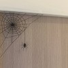 Trang Trí Mạng Nhện Halloween - Thumbnail 1