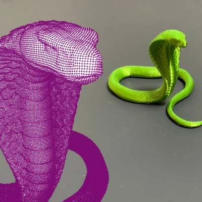 Rắn hổ mang (Cobra/Snake) - đường viền 3D