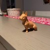Tượng French Bulldog (Mô Hình Chó Bull Pháp) - Thumbnail 3