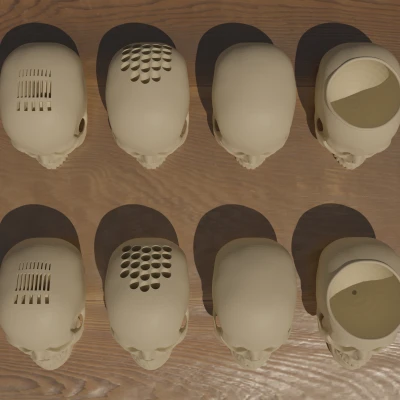 Skull Realistic 2: Chậu cây/Ống cắm bút/Lưu trữ media & hơn nữa