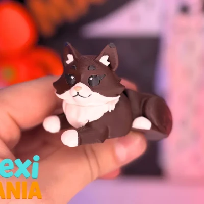 Mèo Flexi MaineCoon | Mèo in 3D có khớp chuyển động