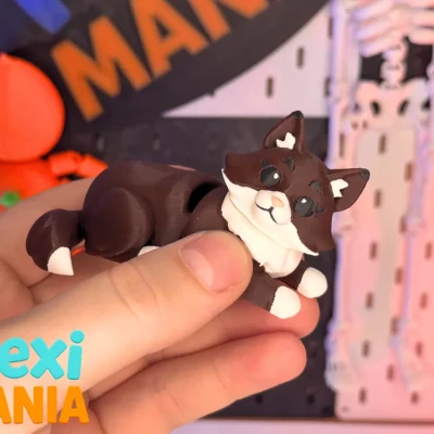 Mèo Flexi MaineCoon | Mèo in 3D có khớp chuyển động