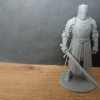 Hiệp Sĩ Dòng Đền (Knight Templar) - Thumbnail 3