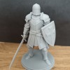 Hiệp Sĩ Dòng Đền (Knight Templar) - Thumbnail 2