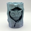 Tượng Cú Trong Khúc Gỗ (Owl in Log Figure) - Thumbnail 1