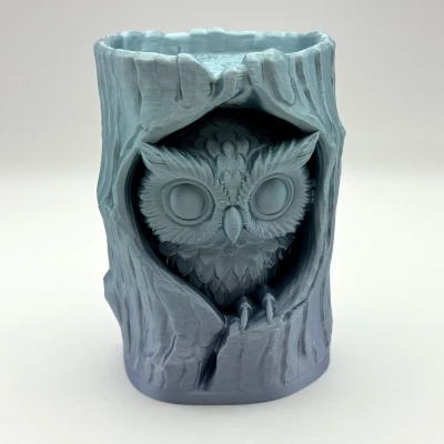 Tượng Cú Trong Khúc Gỗ (Owl in Log Figure)