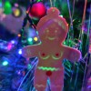 Lebkuchen-Duo (Bà & Ông Claus) – bộ 2 bánh gừng bề mặt mịn - Thumbnail 2