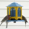 Máng ăn chim dạng Gazebo (Gazebo Bird Feeder) - Thumbnail 2
