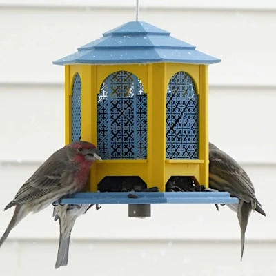 Máng ăn chim dạng Gazebo (Gazebo Bird Feeder)